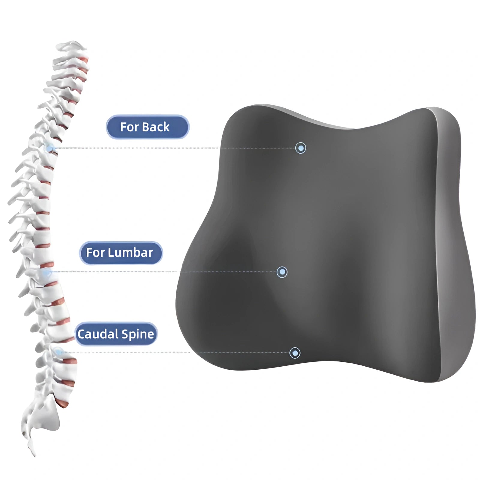 Gray back support pillow with labeled positions for back, lumbar, and caudal spine on a white background.